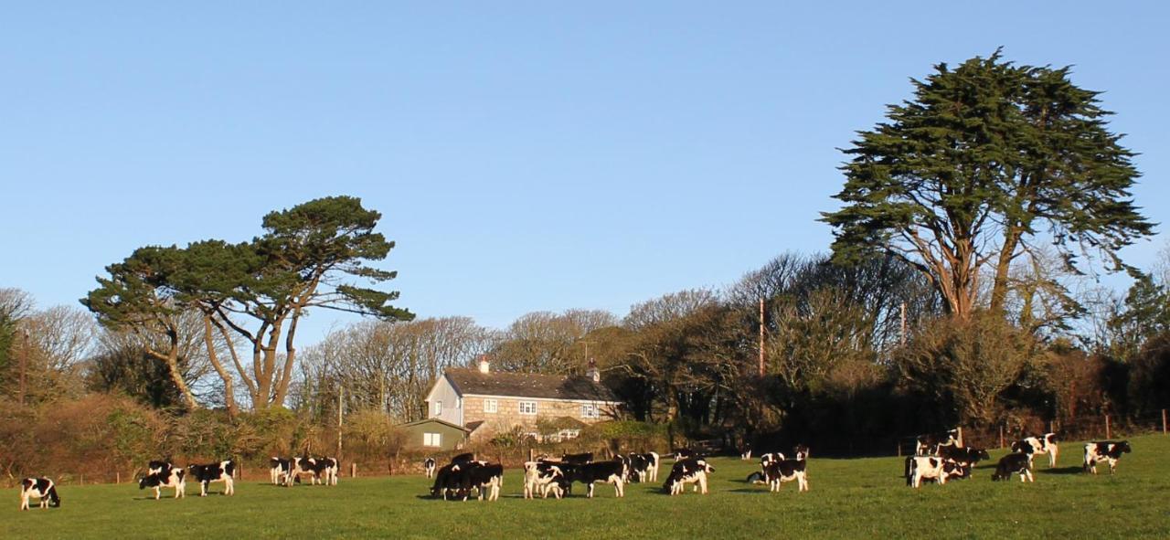 Coombe Farmhouse Bed & Breakfast St Ives Dış mekan fotoğraf