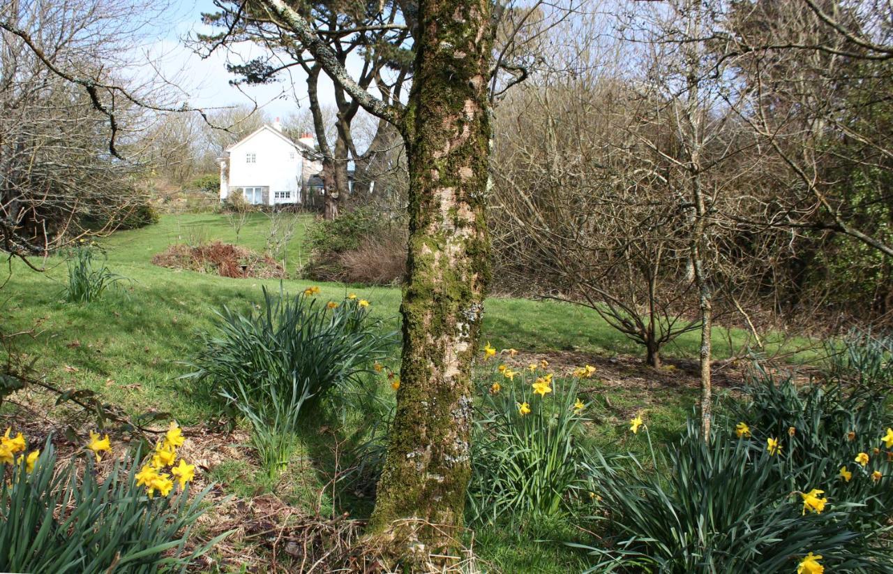 Coombe Farmhouse Bed & Breakfast St Ives Dış mekan fotoğraf