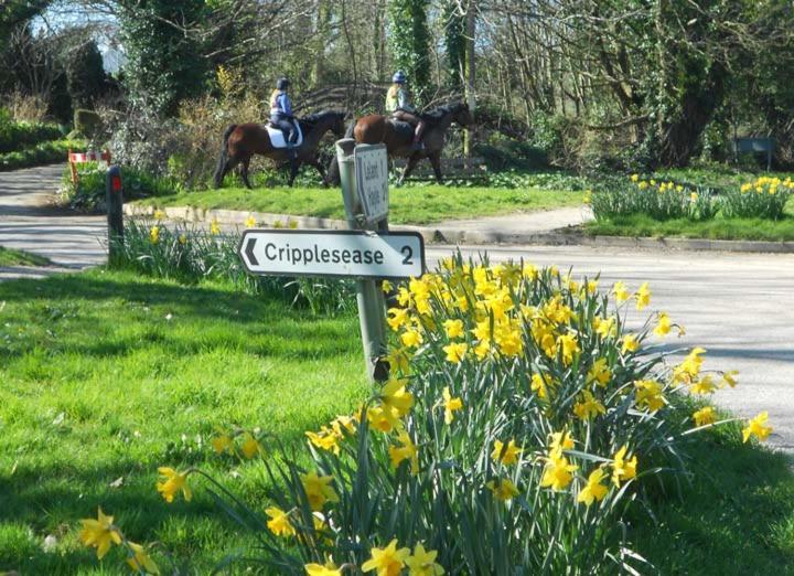 Coombe Farmhouse Bed & Breakfast St Ives Dış mekan fotoğraf